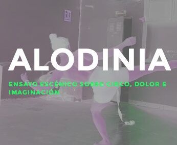 ALODINIA. Mostra residència Amaya Goñi